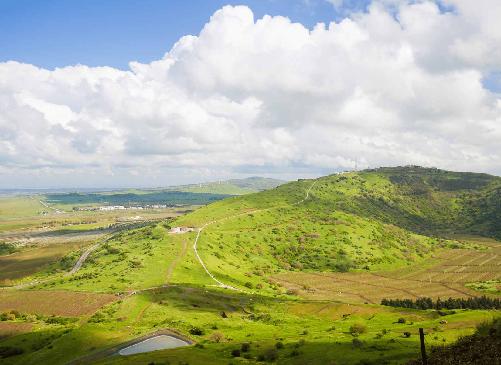 Untitled (1650 x 1200 px) (2)